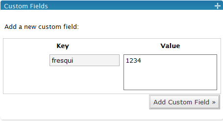 Wordpress Custom Field